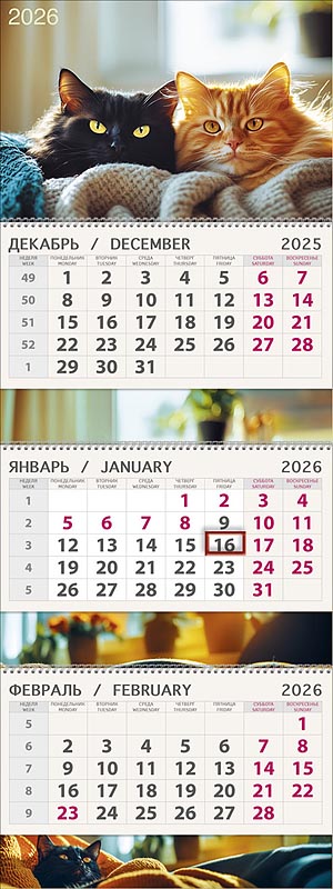 Календарь квартальный трехблочный "Черно-рыжее счастье" (Арт и Дизайн)