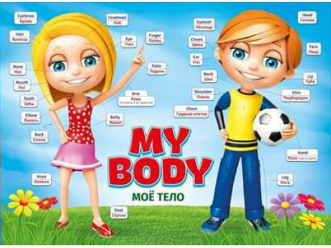 Плакат "Мое тело" английский язык Формат А2
