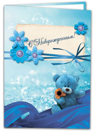 Папка "С Новорожденным!" Формат А5 (ламинат)