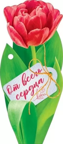 Открытка-малышка "От всего сердца" Формат А6. Без отделки. Без текста.