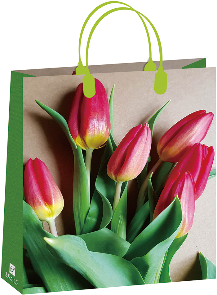 Пакет пластиковый подарочный "Тюльпаны" (БОЛЬШОЙ)