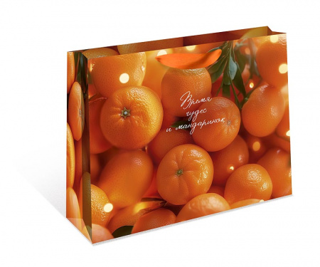 Пакет подарочный бумажный СТАНДАРТ ПЛЮС "Время чудес и мандаринок" (ААА)