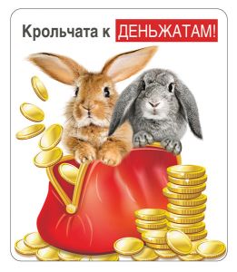 Магнит виниловый "Крольчата к деньжатам!"