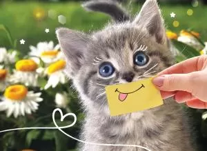 Конверт для подарочного сертификата "Котёнок в цветах" Конверт для подарочного сертификата "Котёнок в цветах"