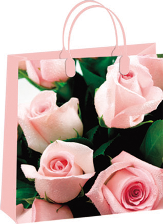 Пакет пластиковый подарочный "Розовые розы" (МАЛЫЙ)