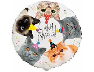 Шар К 18" РУС ДР Котики фотографичные