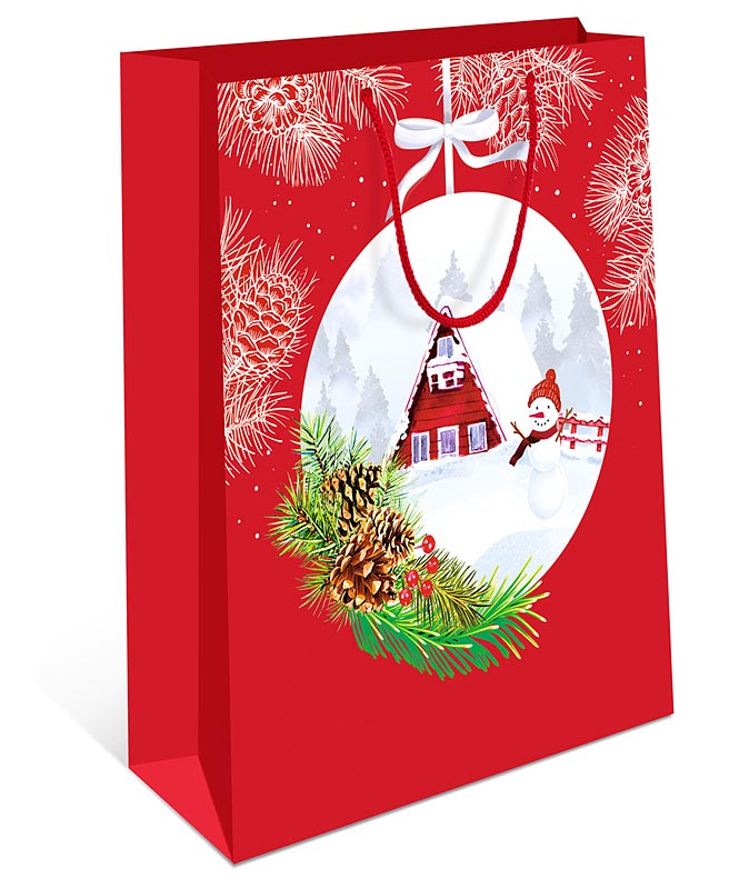 Пакет подарочный новогодний "Домик в снегу" (АА)
