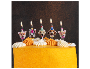 Свечи на пиках Собачки фотографичные 5 шт