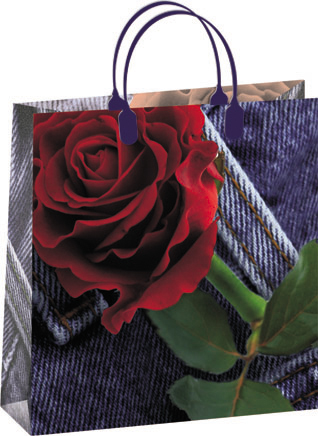 Пакет пластиковый подарочный "Красная роза" (МАЛЫЙ)