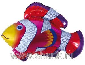 Шар Ф М/ФИГУРА/3 "Рыба пестрая красная"