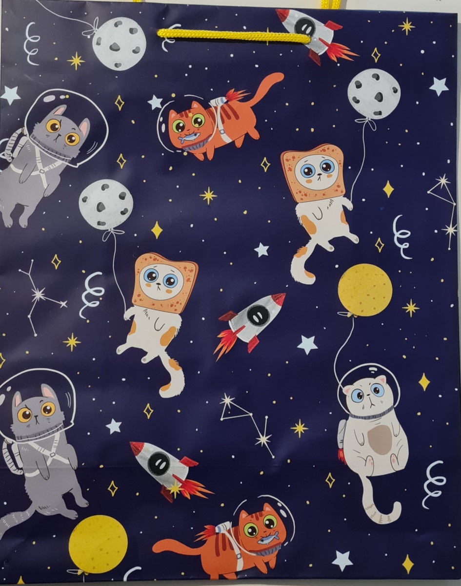 Пакет подарочный "Коты в космосе" (АВ)