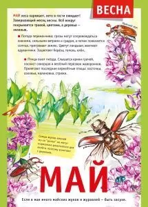 Плакат-мини "12 месяцев: МАЙ" Формат А4