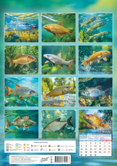Календарь перекидной настенный на РИГЕЛЕ "Рыбалка"
