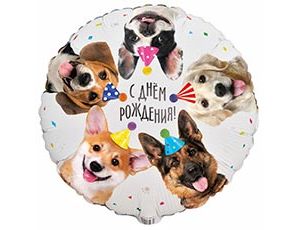 Шар К 18" РУС ДР Собачки фотографичные