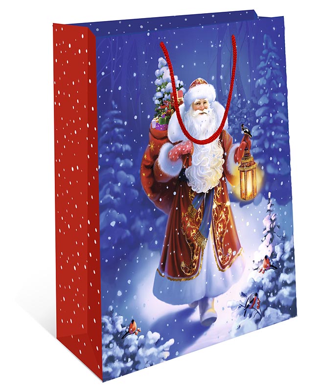 Пакет подарочный новогодний "Дед Мороз с подарками" (АА)