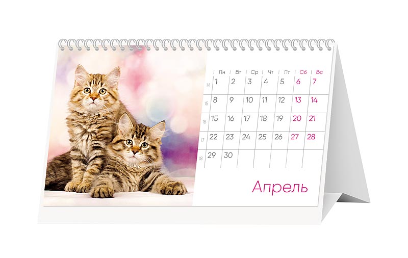 Календарь-домик перекидной настольный "Котики" (Арт и Дизайн)
