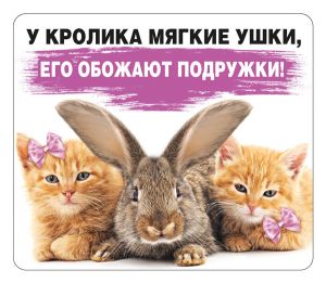 Магнит виниловый "У кролика мягкие ушки, его обожают подружки!"