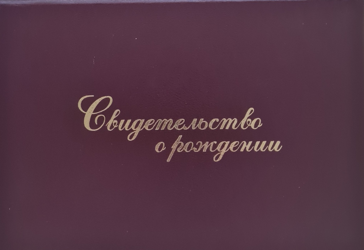 Папка "Свидетельство о рождении" Формат А5 (бумвинил)