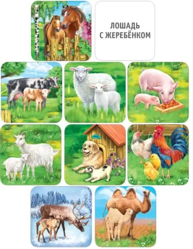 Набор обучающих карточек "Домашние животные и их детёныши" (33 шт)