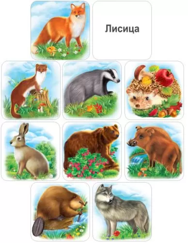Набор обучающих карточек "Дикие животные и птицы" (33 шт)