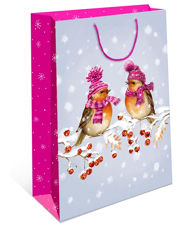 Пакет подарочный новогодний "Два воробья в шапках и шарфах" (АА)