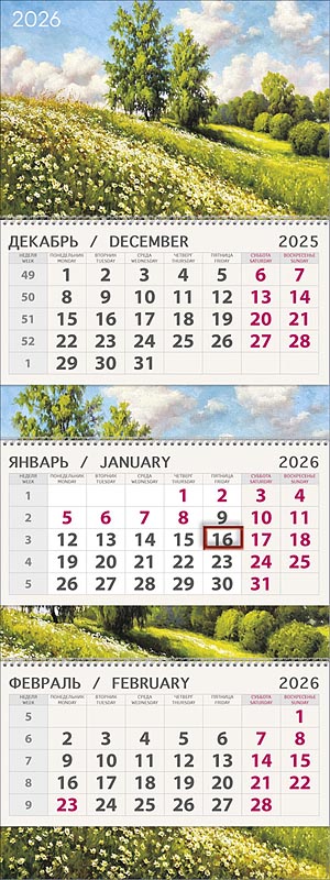 Календарь квартальный трехблочный "Цветущий луг" (Арт и Дизайн)