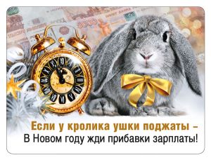 Магнит виниловый декоративный "Если у кролика ушки поджаты...!"