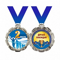 Подарочная медаль на ленте "2 место"