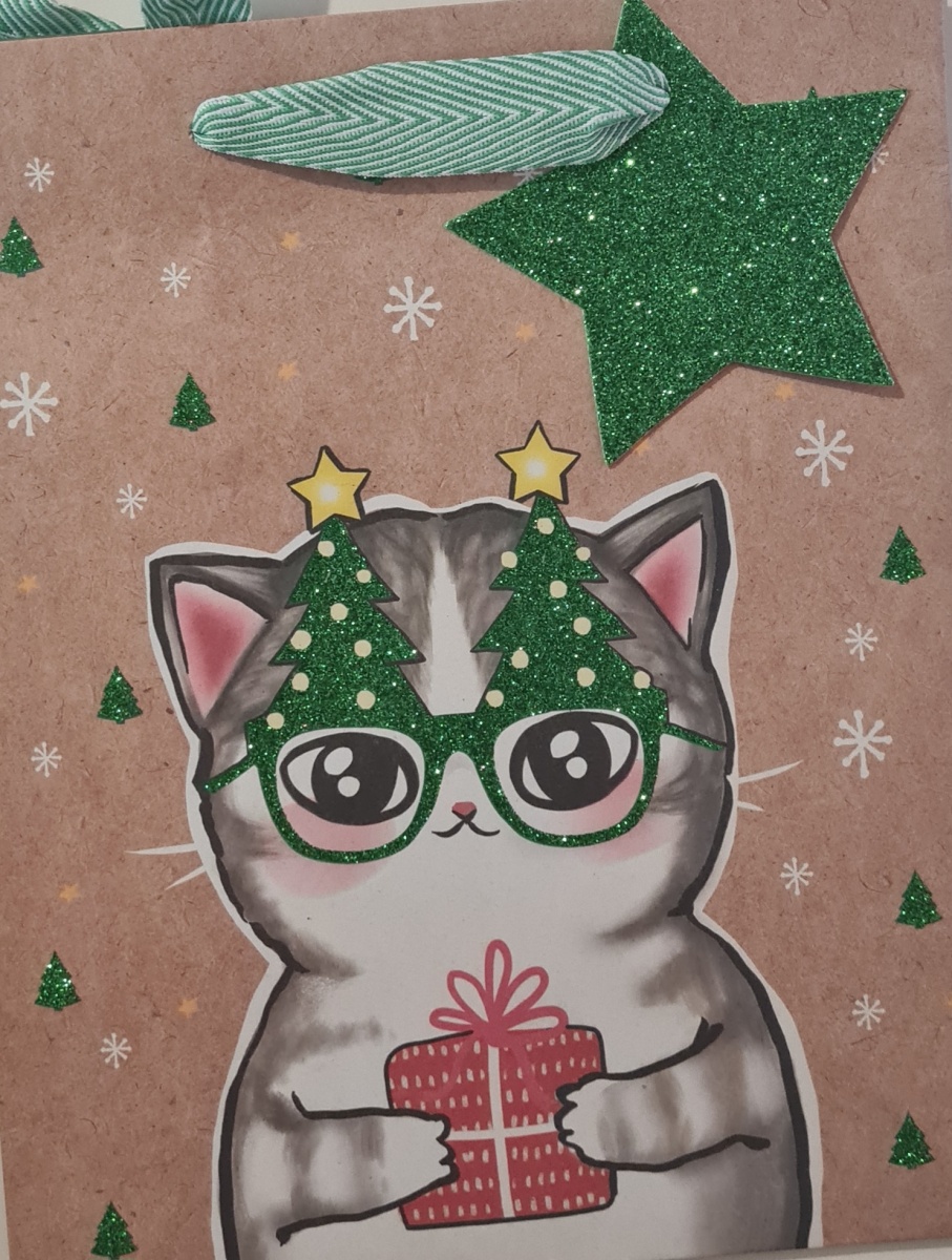 Пакет КРАФТ подарочный новогодний "Кошка с подарком" (ВС)