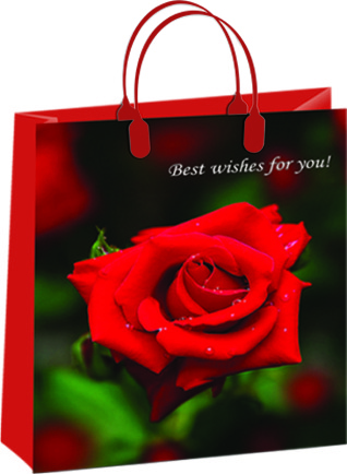 Пакет пластиковый подарочный "Красная роза" (БОЛЬШОЙ)