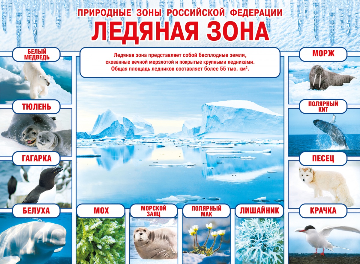Плакат "Природные зоны Российской Федерации. Ледяная зона" Формат А2
