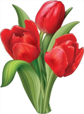 Плакат вырубной "Букет тюльпанов" Формат А2