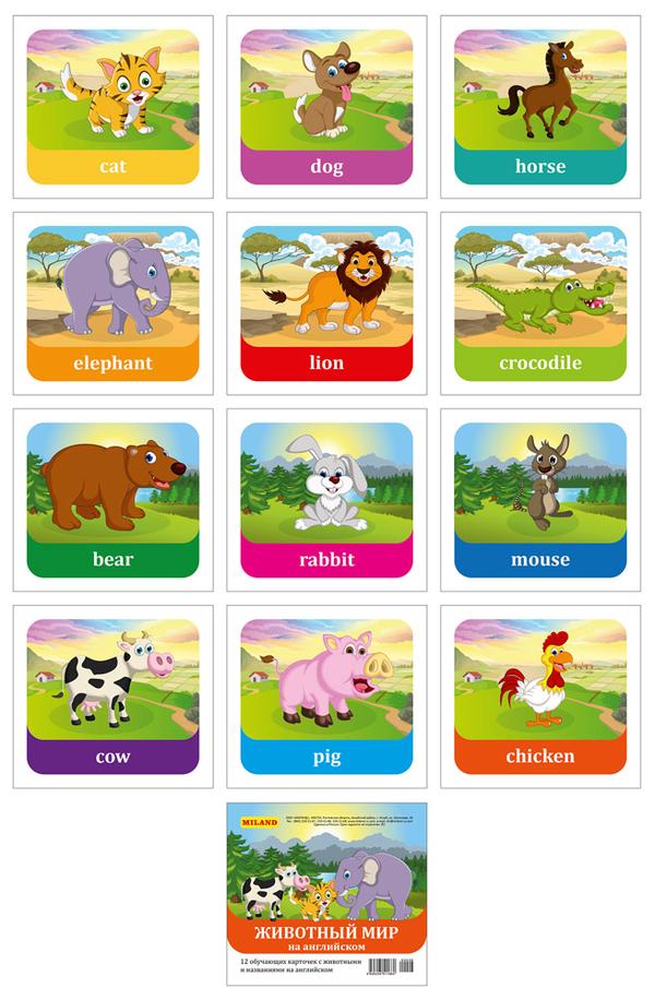 Набор карточек обучающих с английскими словами и примерами "Животный мир"