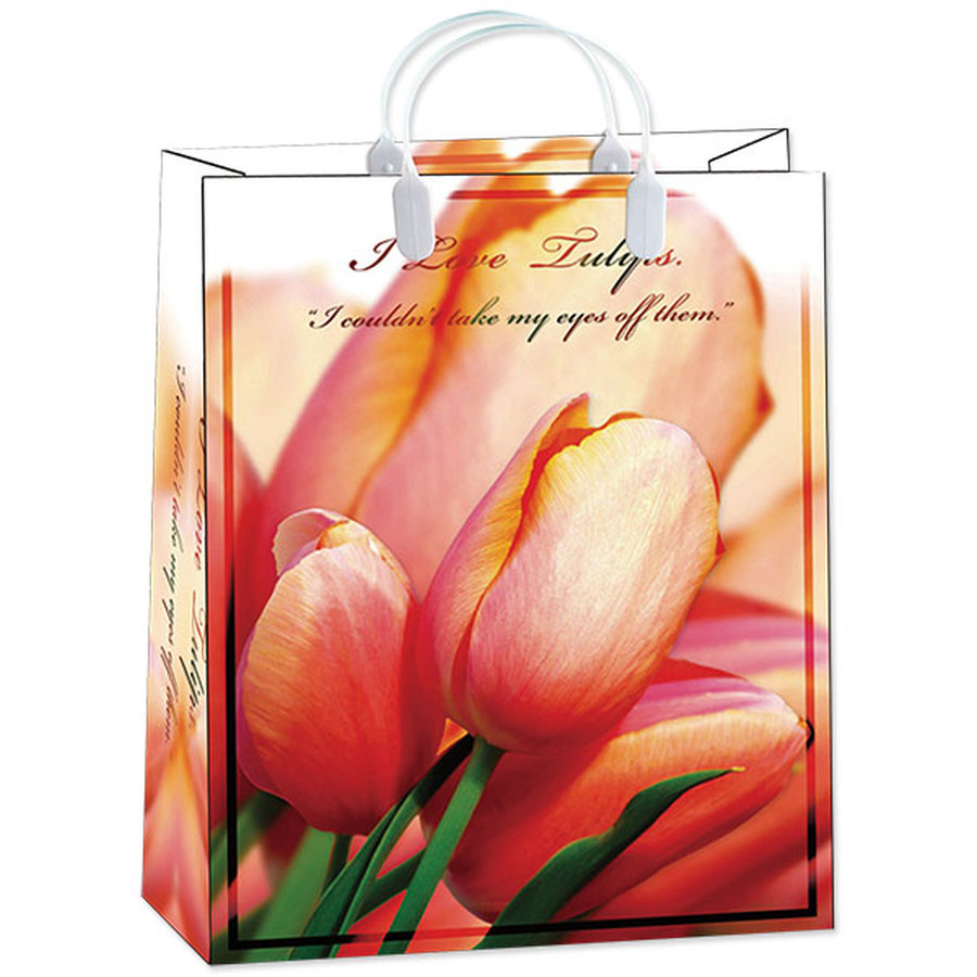 Пакет пластиковый подарочный "Тюльпаны"  (БОЛЬШОЙ)