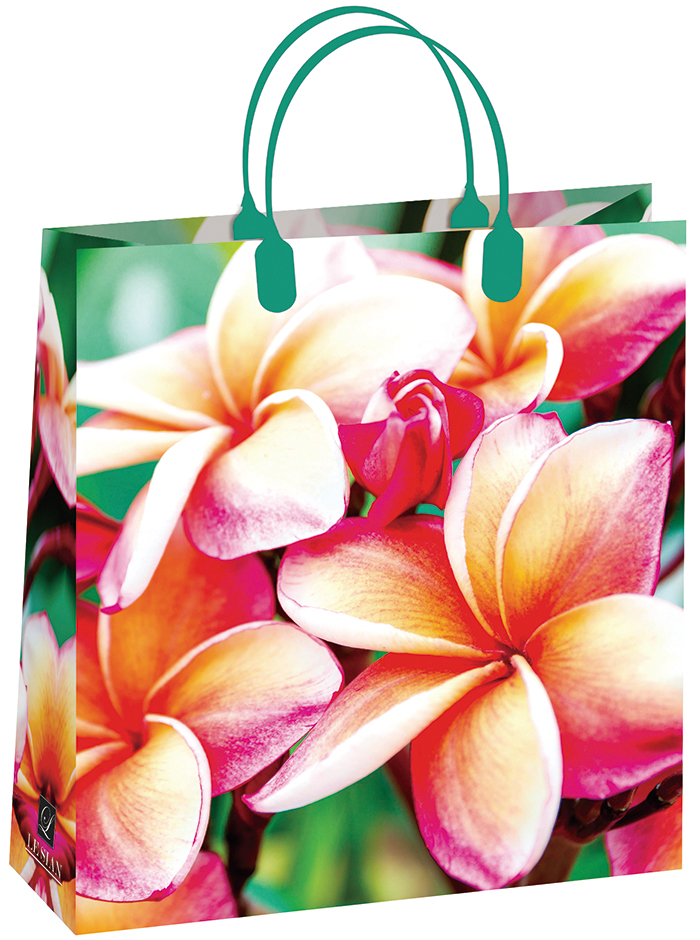 Пакет пластиковый подарочный "Яркие цветы" (МАЛЫЙ)