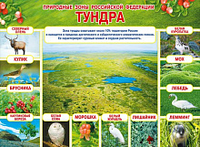 Плакат "Природные зоны Российской Федерации. Тундра" Формат А2