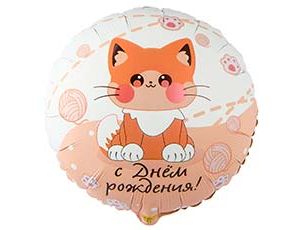 Шар К 18" РУС ДР Котик усатый