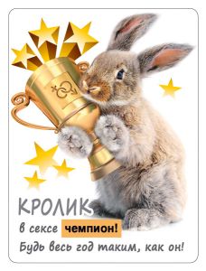 Магнит виниловый декоративный "Кролик в сексе ЧЕМПИОН!"