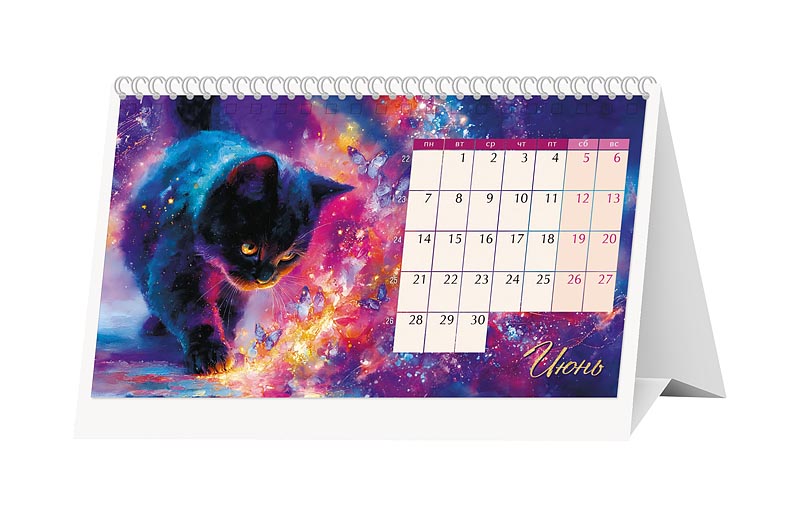 Календарь-домик перекидной настольный "Котик, ты космос" (Арт и Дизайн)