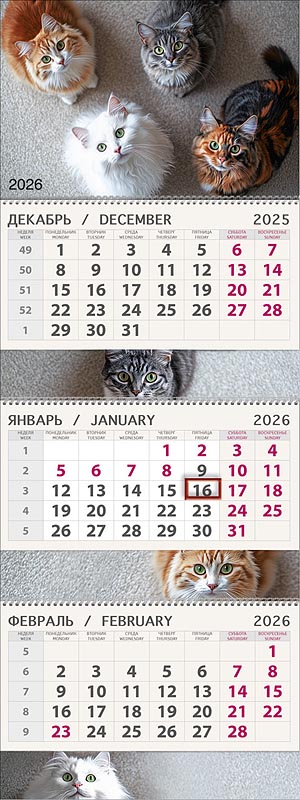 Календарь квартальный трехблочный "Кто?" (Арт и Дизайн)