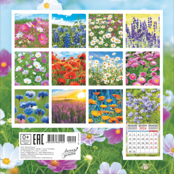 Календарь перекидной настенный МАЛЫЙ на скрепке "Полевые цветы"