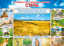 Обучающий плакат для школьников. Природные зоны России. Животные и растения