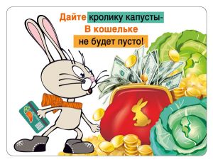 Магнит виниловый декоративный "Дайте кролику капусты-в кошельке не будет пусто!"