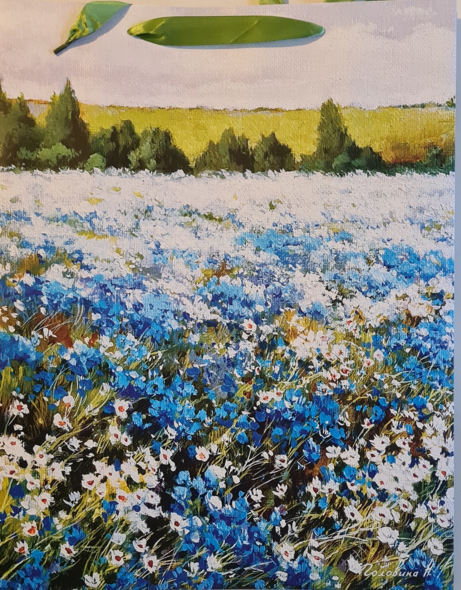 Пакет подарочный СТАНДАРТ ПЛЮС "Поле" (АА+)