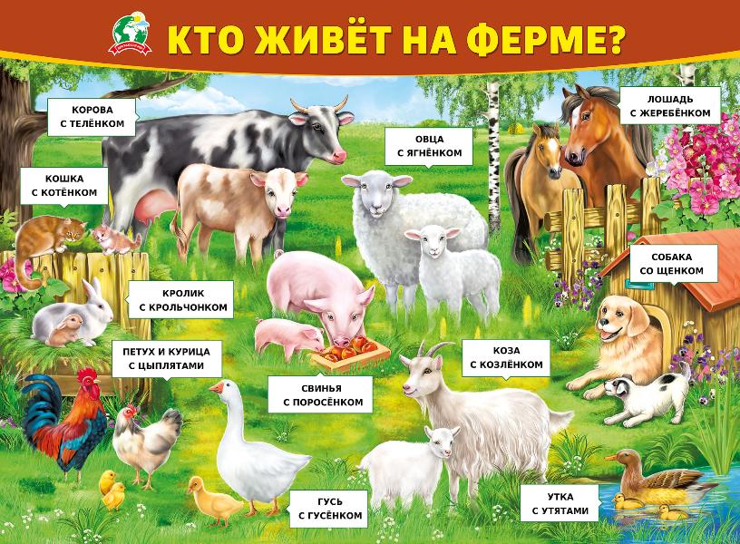 Плакат "Кто живёт на ферме?" Формат А2