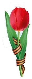 Плакат вырубной двусторонний "Красный тюльпан с георгиевской лентой" Формат А3