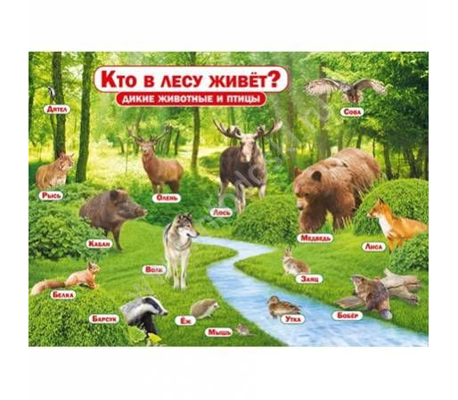 Плакат "Кто в лесу живет? Дикие животные и птицы" Формат А2