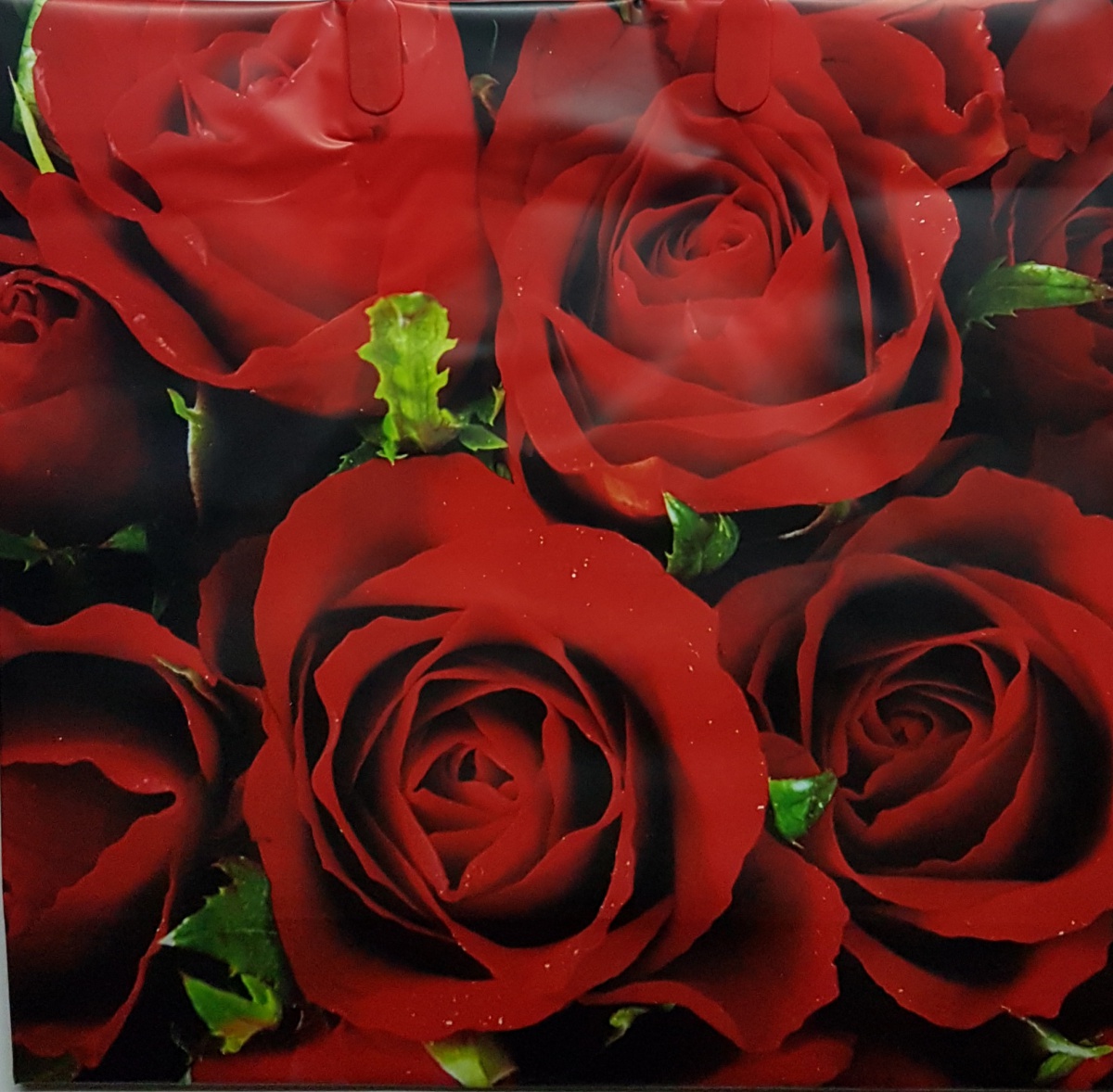 Пакет пластиковый подарочный "Красные розы" (СРЕДНИЙ)