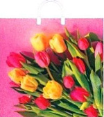 Пакет полипропиленовый с пластиковыми ручками "Букет тюльпанов" (МАЛЫЙ)