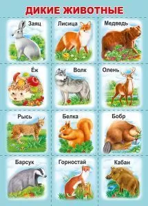Плакат-мини разрезной "Дикие животные" Формат А4